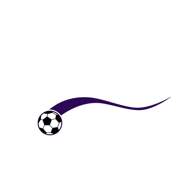 Carlsbad Swoosh White Purple Thumbnail